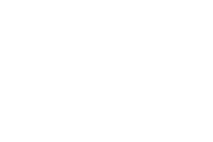 Skyhigh Security