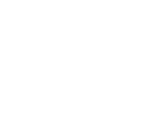 Hornet